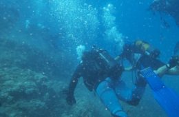 diving22
